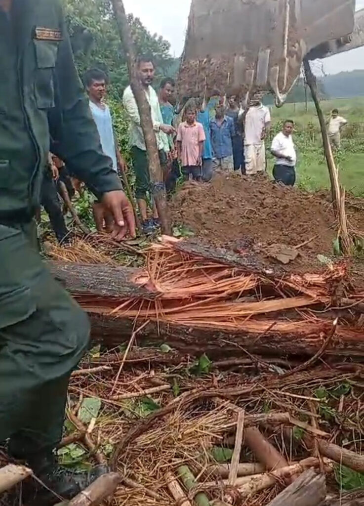 सालको रुखले टहरो थिच्दा बस्तीपुरमा बालबालिकाको कारुण अन्त्य : फाेटाे मंसिर ४