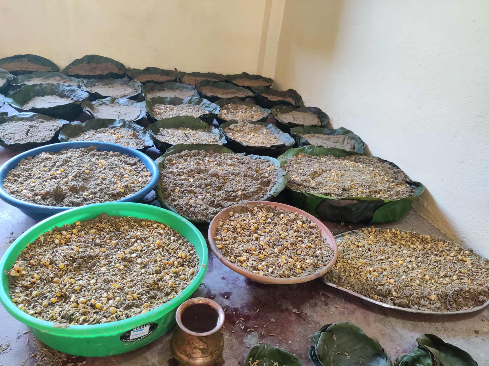 विभिन्न शक्तिपिठमा सामूहिक जमरा राखियो