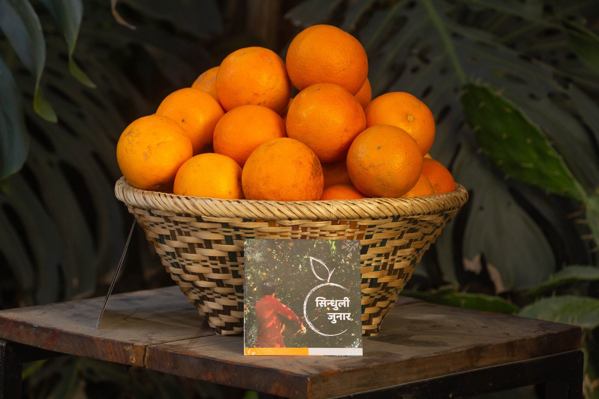 प्रविधि र स्वादको संगमसहित राजधानीमा साताव्यापी सिन्धुली जुनार मेला सुरु भएको छ। क्युआर कोड ट्रेसएबिलिटीदेखि हट जुनार जुससम्म, जुनारको आधुनिक यात्रा।