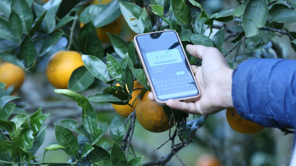 प्रविधि र स्वादको संगमसहित राजधानीमा साताव्यापी सिन्धुली जुनार मेला सुरु भएको छ। क्युआर कोड ट्रेसएबिलिटीदेखि हट जुनार जुससम्म, जुनारको आधुनिक यात्रा।